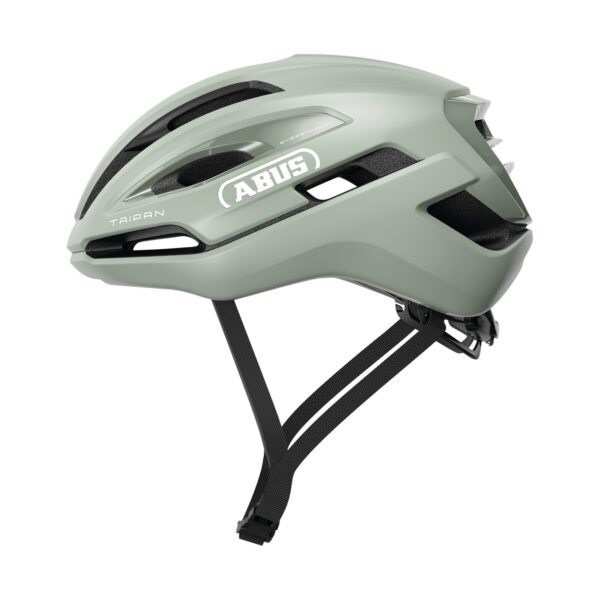 Abus Taipan Frosted Green